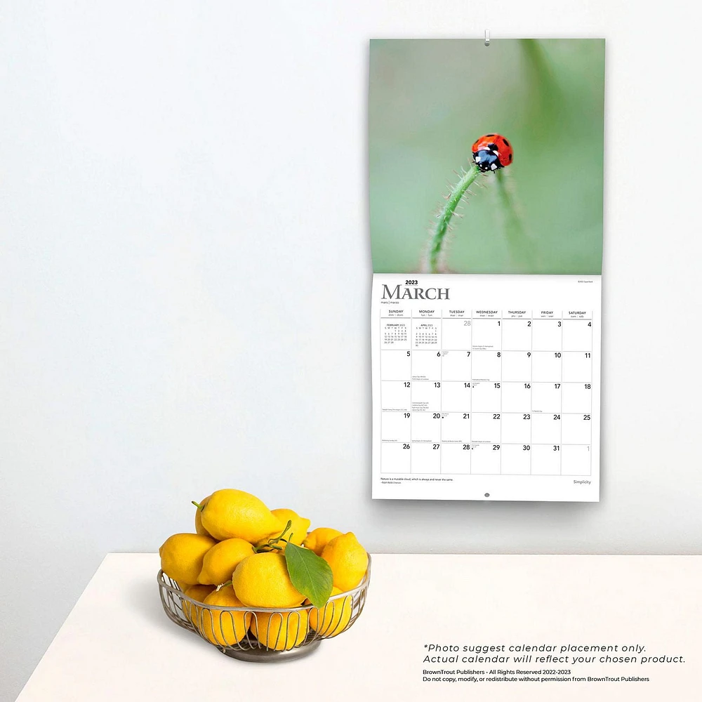 Simplicity | 2023 12x24 Inch Square Wall Calendar