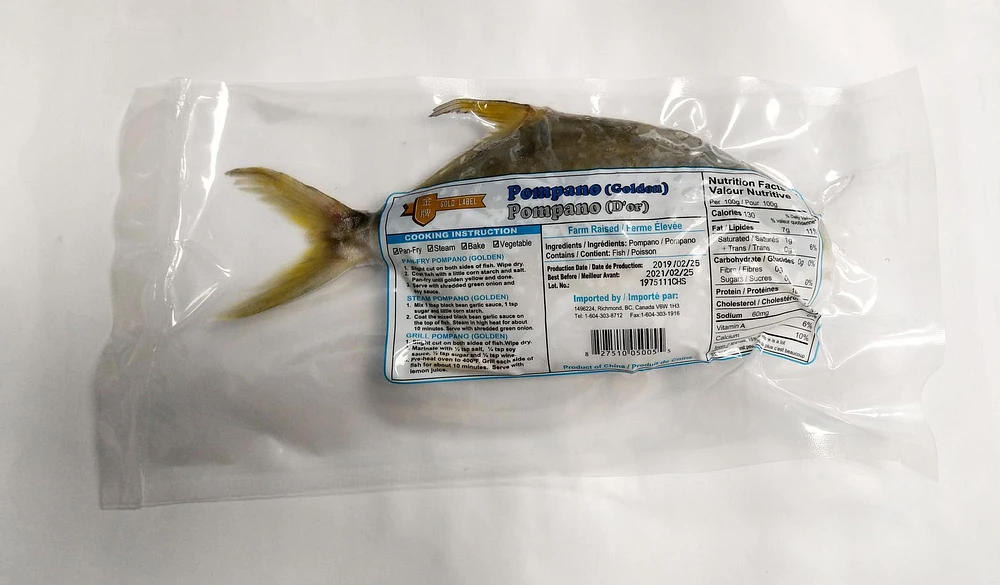 Searay Pompano (Golden)