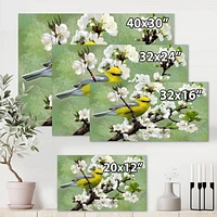 Designart Oiseau sur une branche de cerisier Art mural sur toile