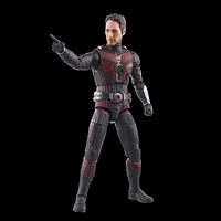 Hasbro Marvel Legends Series Ant-Man, Ant-Man & the Wasp: Quantumania Collectible 6 Inch Action Figures, Ages 4 and Up 