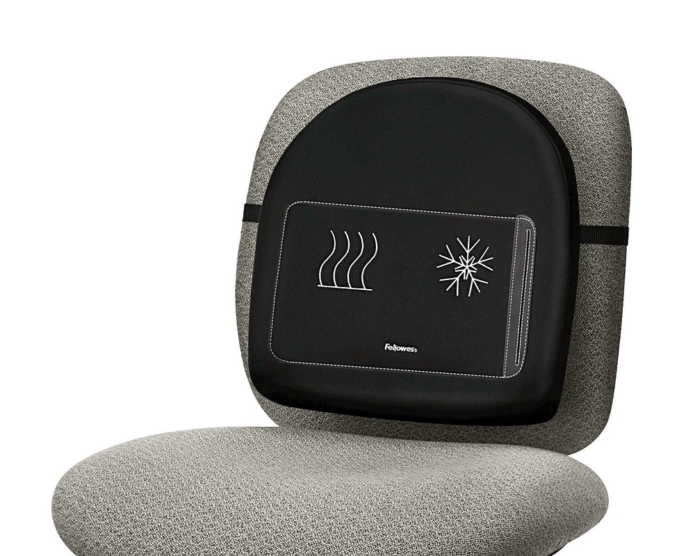 Heat & Soothe Back Support