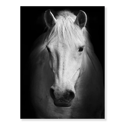 Designart cheval blanc noir et blanc Art mural sur toile