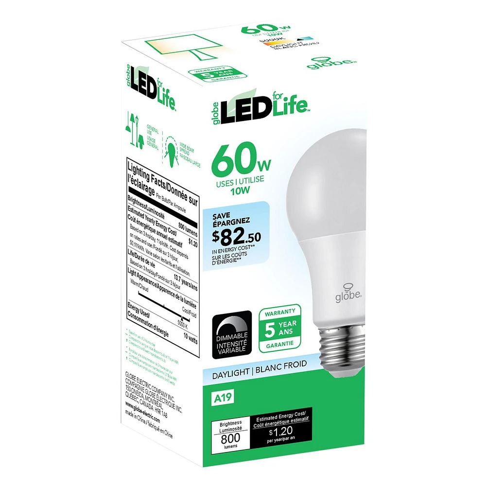 Ampoule en plastique DEL A19 gradable de Globe Electric, équivalente à un éclairage de jour de 60W (5000K), base E26, 800 lumens, 30995