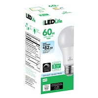 Ampoule en plastique DEL A19 gradable de Globe Electric, équivalente à un éclairage de jour de 60W (5000K), base E26, 800 lumens, 30995
