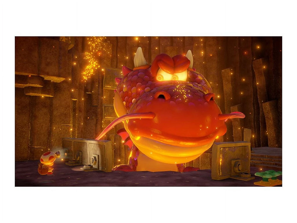 Capitaine Crapaud, Traqueur de Trésors - Nintendo Switch [Code Numérique]