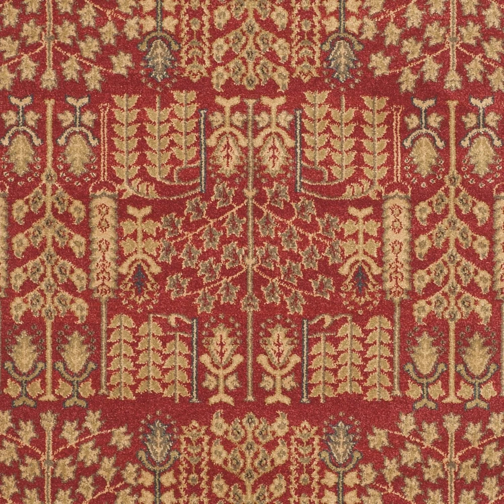 Safavieh Mahal Phylliss Traditional Area Rug