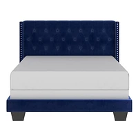 Modern Velvet Upholstered 60" Queen Bed in Blue