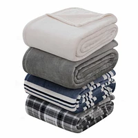 Mainstays Plush Blanket, Size: Twin - King