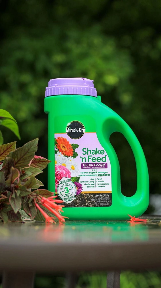 Engrais pour plantes Miracle-Gro Shake n Feed Ultra Bloom - 2,04kg Fertilise jusqu'à trois mois.