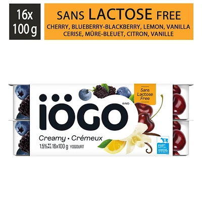 iÖGO Cherry, Lemon, Blackberry-Blueberry, Vanilla Lactose-Free Yogurt Cups 1.5%, 16x100g