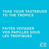 Sparkling Ice Coconut Pineapple 503ml, 503 mL