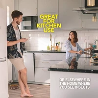 Insecticide Raid contre les moustiques et les mouches, tue les insectes en question au contact, pour utilisation à l’intérieur et à l’extérieur 350g