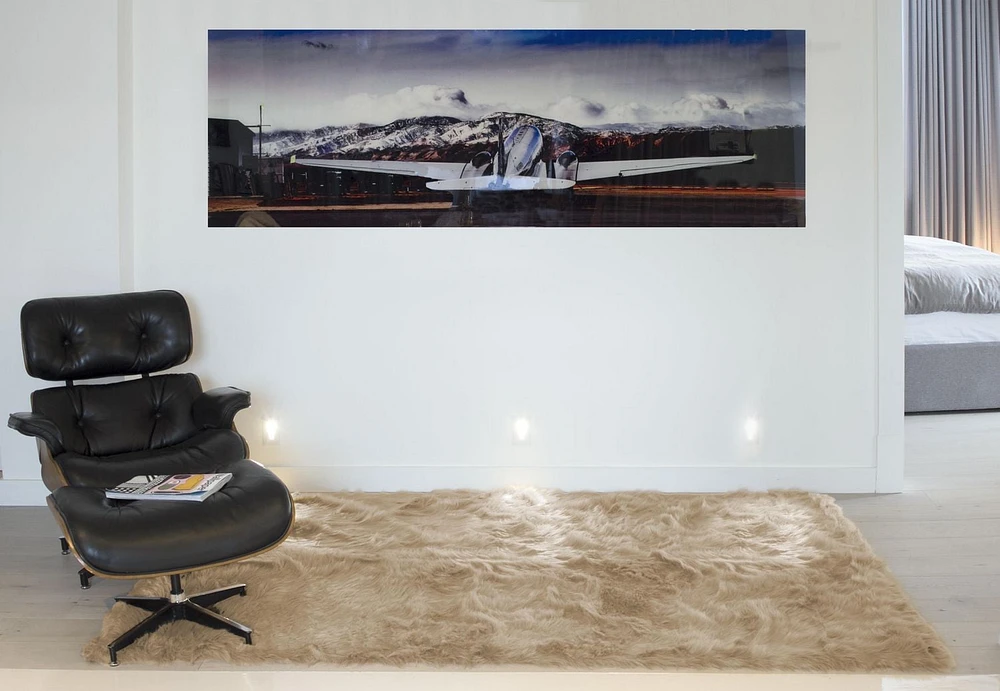 H-LUXE Hudson Faux Fur 5'X8' Rug
