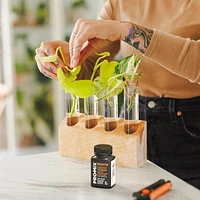 LIQUIDE STIMULATEUR DE RACINES PRO-MIX ROOTS PRO-MIX Liquide stimulateur de racines ROOTS