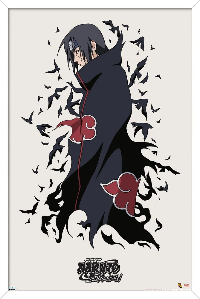 Naruto Shippûden