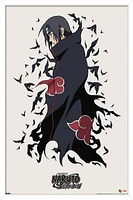 Naruto Shippûden