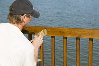 Wolman Durastain Transparent Stain