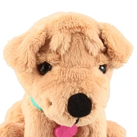 SHAR PEI - FRENCH
