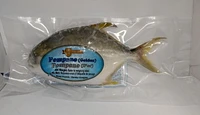 Searay Pompano (Golden)