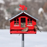Mangeoire maisonnette Squirrel Be Gone II avec girouette de Perky-Pet