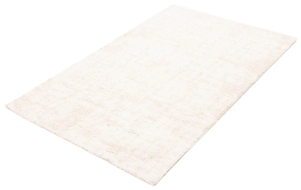 ECARPET Bliss 5'0" x 8'0" Contemporary/Modern, Plush & Shags Area Rug for Living Room, Bedroom, Dining Room, Entrance, Hallway and More.