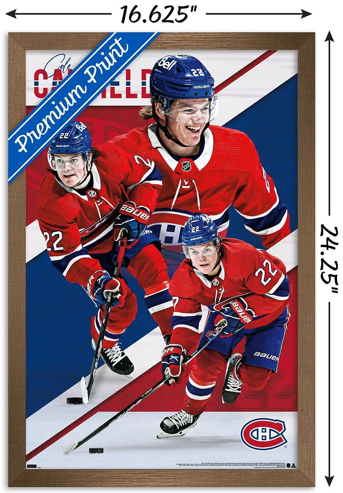 LNH Canadiens de Montréal