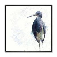 Designart Oiseau Héron tricolore ART MURAL À CADRE FLOTTÉ