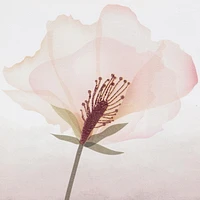 Blush Flower Embellished Canvas, 6in W x 6in H