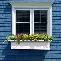 Yorkshire Window Box