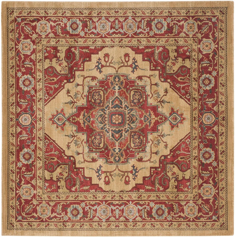 Safavieh Mahal Oswin Floral Bordered Area Rug
