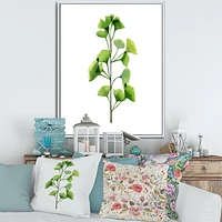 Designart Green Field Plant Foliage FLOAT FRAME WALL ART