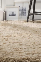 SAFAVIEH Polar Abbot Solid Extreme Plush Shag Area Rug