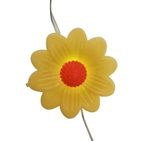 Daisy String Lights
