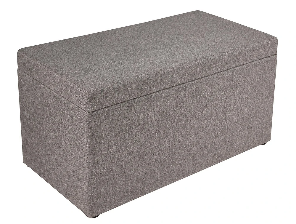 Storage Chest with Tray