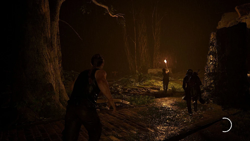 Jeu vidéo The Last of Us Part II Remastered, PlayStation 5 PlayStation 5
