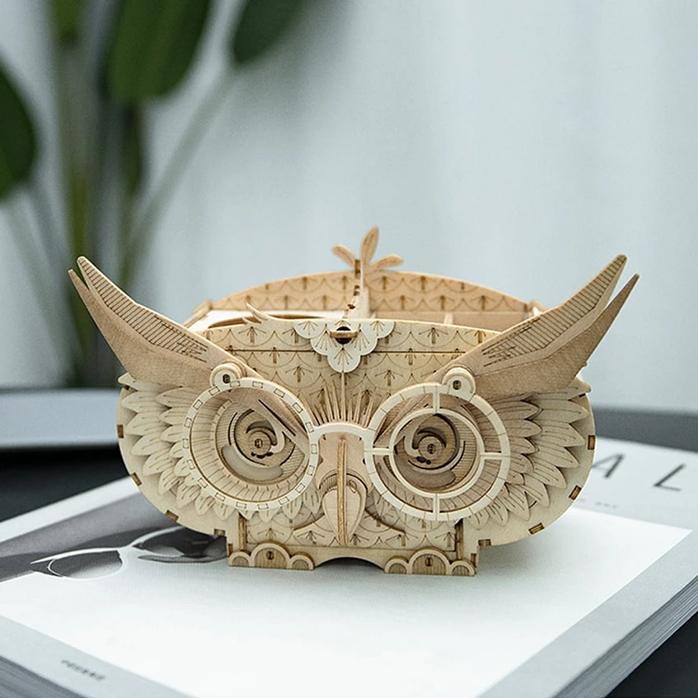 Rolife 3D Wooden Puzzle TG405 Wooden Storage Box Hand