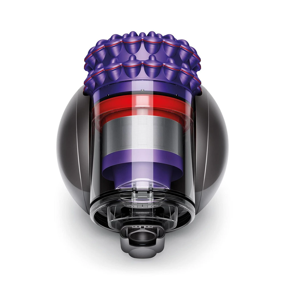 Dyson Cinetic Big Ball Animal Pro