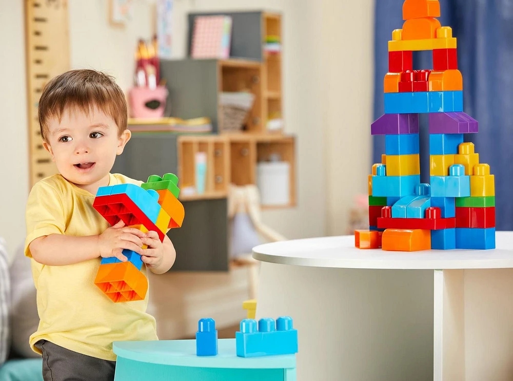 Mega Bloks First Builders Big Building Bag (80 Pieces