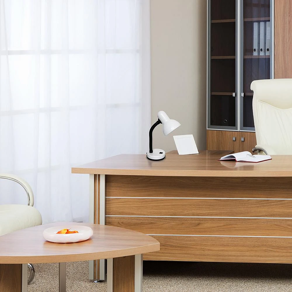 Simple Designs Basic Metal Desk Lamp with Flexible Hose Neck