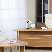 Simple Designs Basic Metal Desk Lamp with Flexible Hose Neck