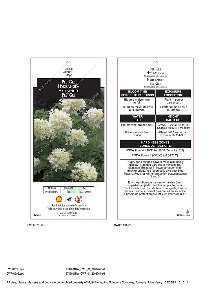 Ensemble de arbuste 6 contenants de 1 gallon (3,8 L) hortensia paniculé grandiflora
