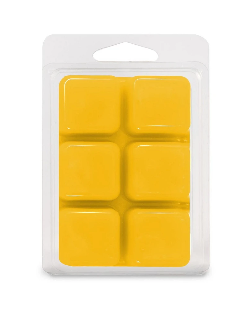 ScentSationals, Cubes de cire parfumés, Cempasuchil