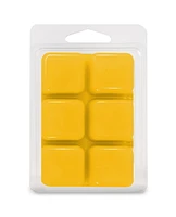 ScentSationals, Cubes de cire parfumés, Cempasuchil