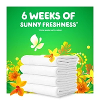 Détergent à lessive liquide Gain avec Aroma Boost, parfum Fraîcheur des îles, compatible avec les laveuses HE, 107 brassées, 4,55 L (154 oz liq.)