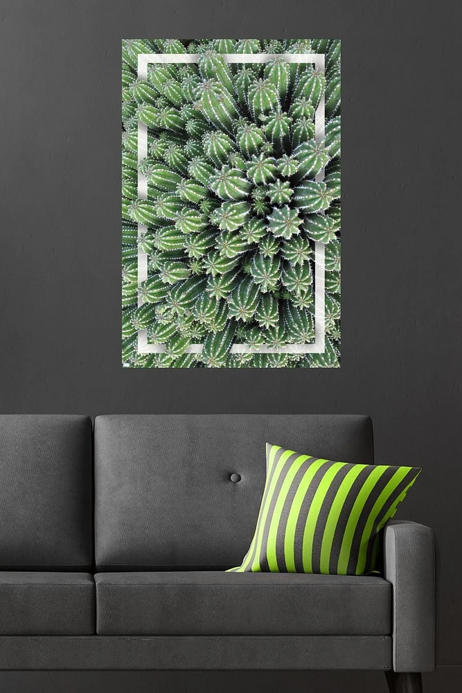 Cactus - Group Wall Poster, 22.375" x 34"