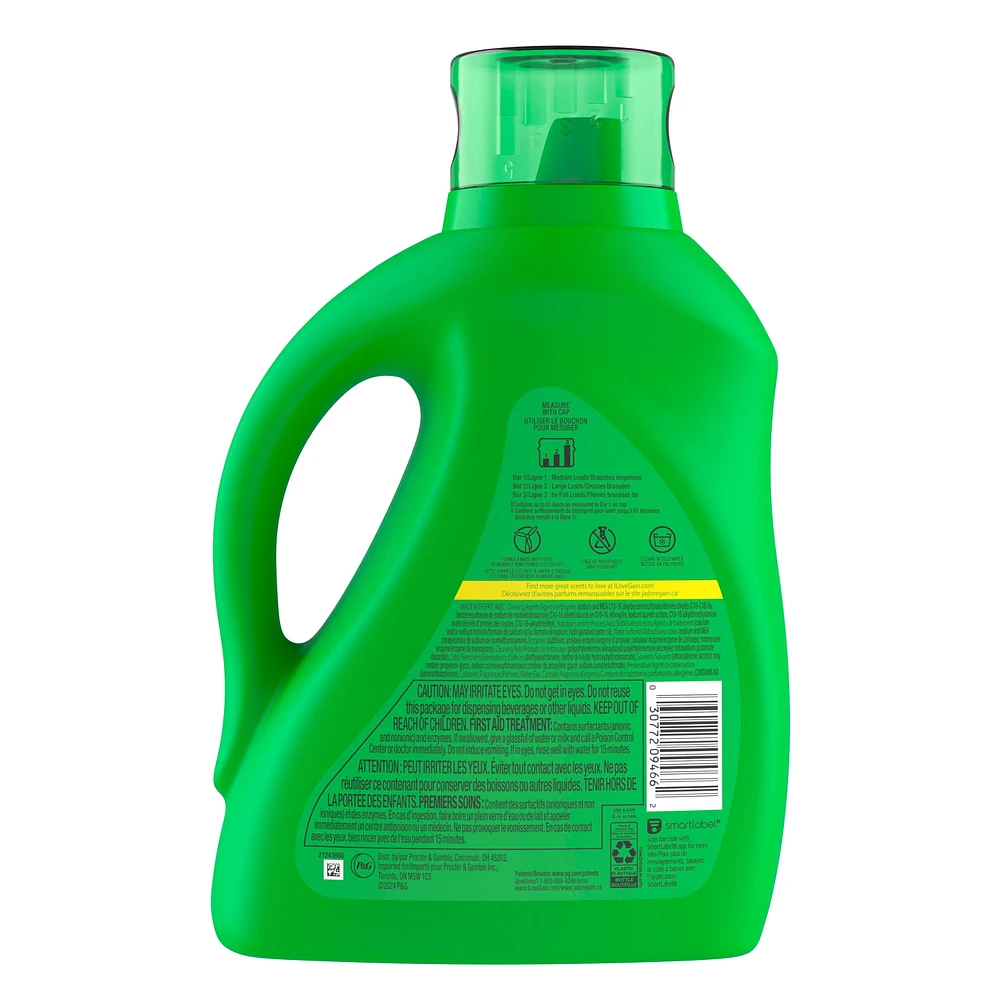 Détergent à lessive liquide Gain Ultra Oxi, parfum Cascade vivifiante, 2 en 1, compatible avec les laveuses HE 2,6 L