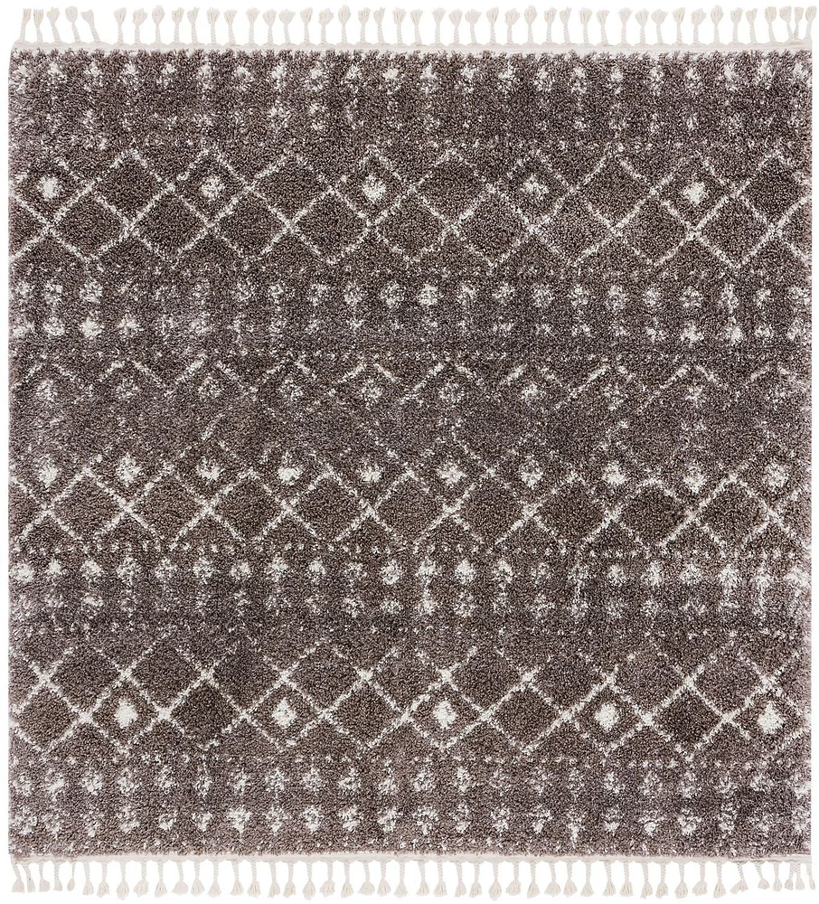 Safavieh Berber Fringe Robynne Aztec Shag Area Rug