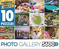 Sure-Lox 10-in-1 Multi-Pack Photo Gallery Puzzle Set