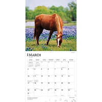 BrownTrout Horse Lovers 2024 12x24 Inch Square Wall Calendar, 9781975463113