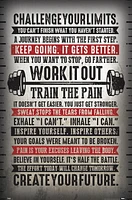 Challenge Your Limits Wall Poster, 14.725" x 22.375"